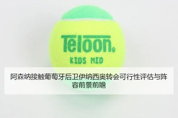 阿森纳接触葡萄牙后卫伊纳西奥转会可行性评估与阵容前景前瞻