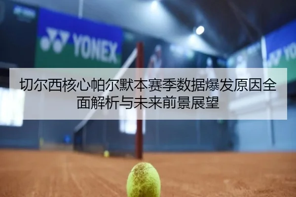 切尔西核心帕尔默本赛季数据爆发原因全面解析与未来前景展望