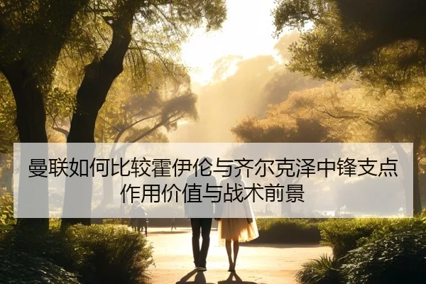 曼联如何比较霍伊伦与齐尔克泽中锋支点作用价值与战术前景